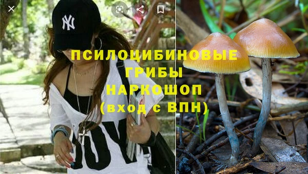 герыч Алексеевка
