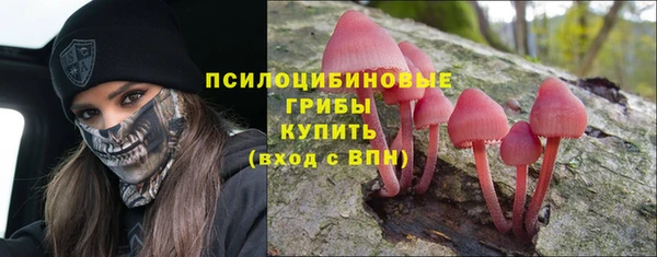 spice Пролетарск